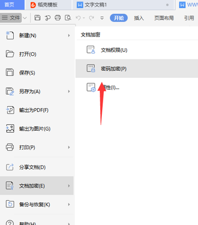 WPS密码加密