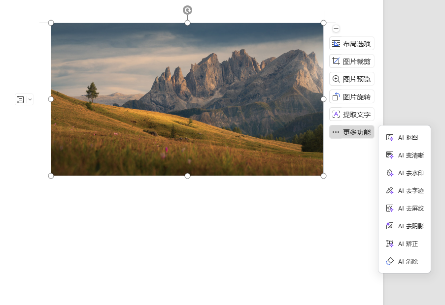 如何使用WPS提取图片中的文字